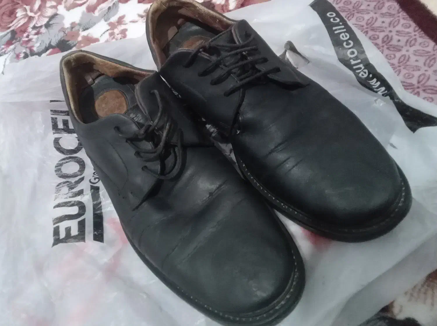 کفش چرمی|کیف، کفش، کمربند|مرند, |دیوار