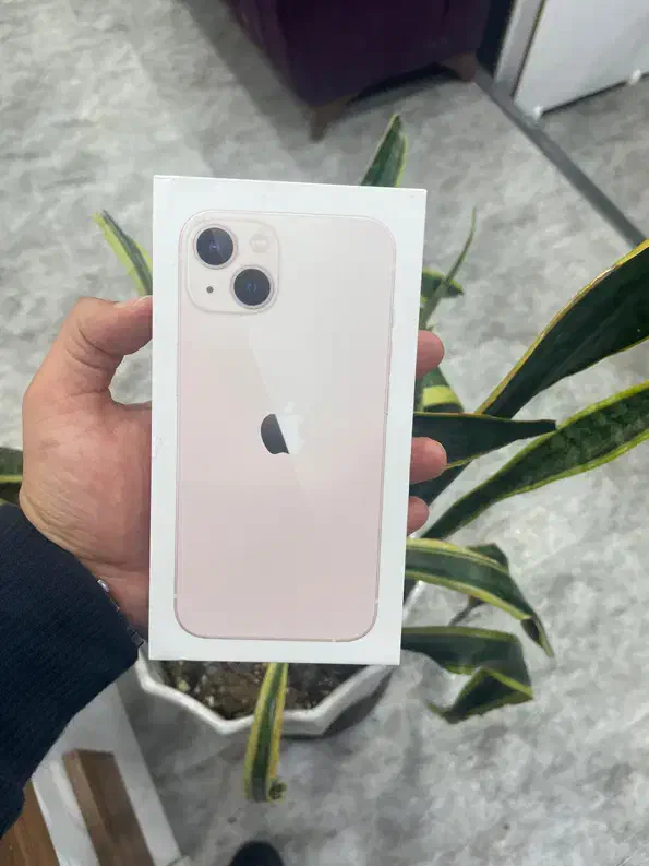 آیفون ۱۳ نرمال ۱۲۸ گیگ اکتیو پلم بدون ریجستر|موبایل|شیراز, قالیشویی|دیوار