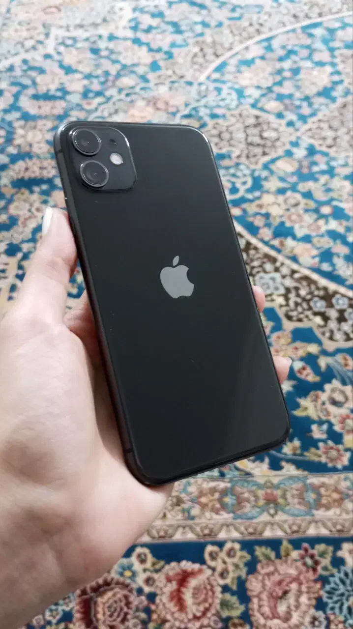 آیفون ۱۱|موبایل|قم, پردیسان|دیوار