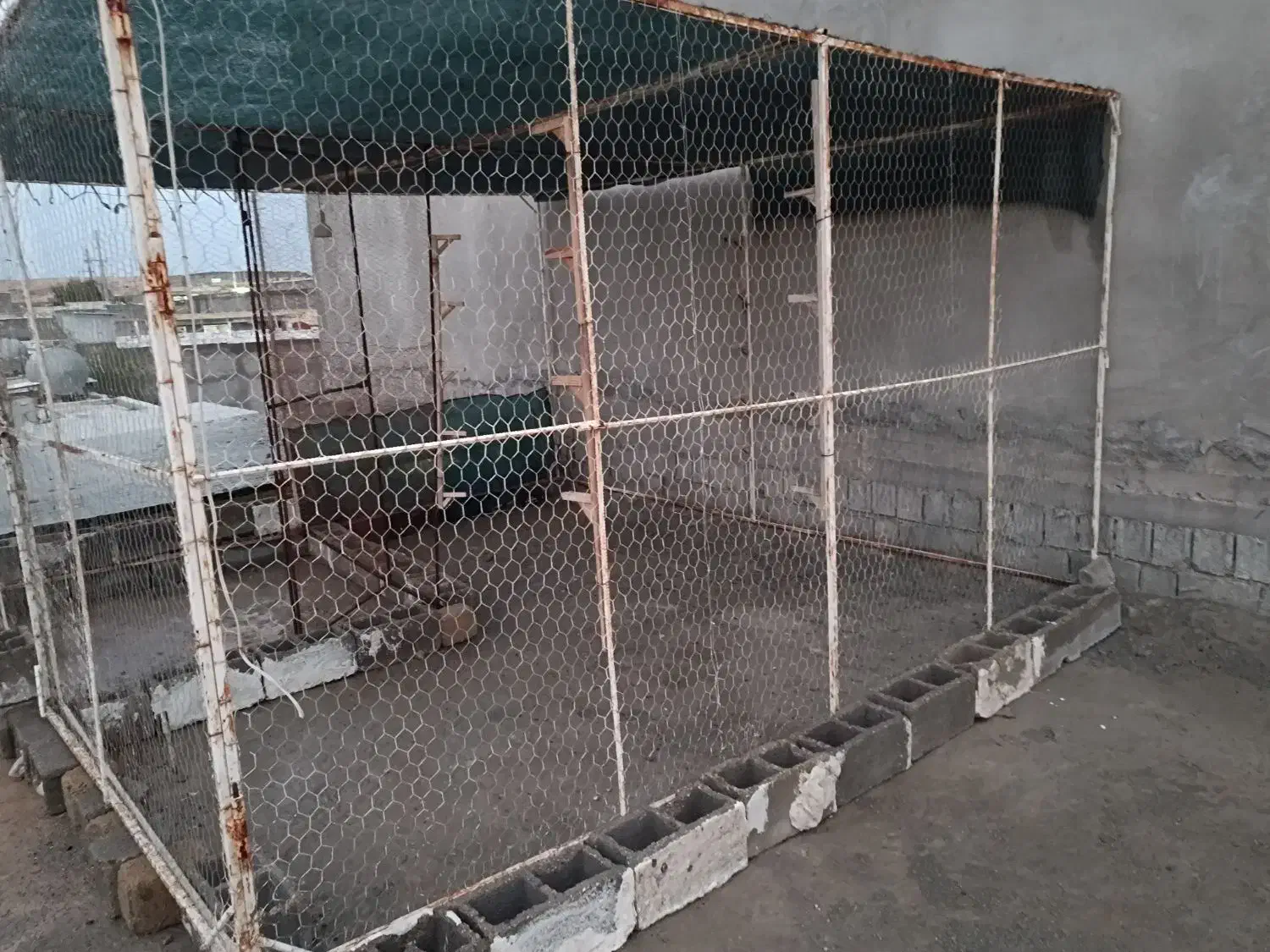 قفس|لوازم جانبی حیوانات|برازجان, |دیوار