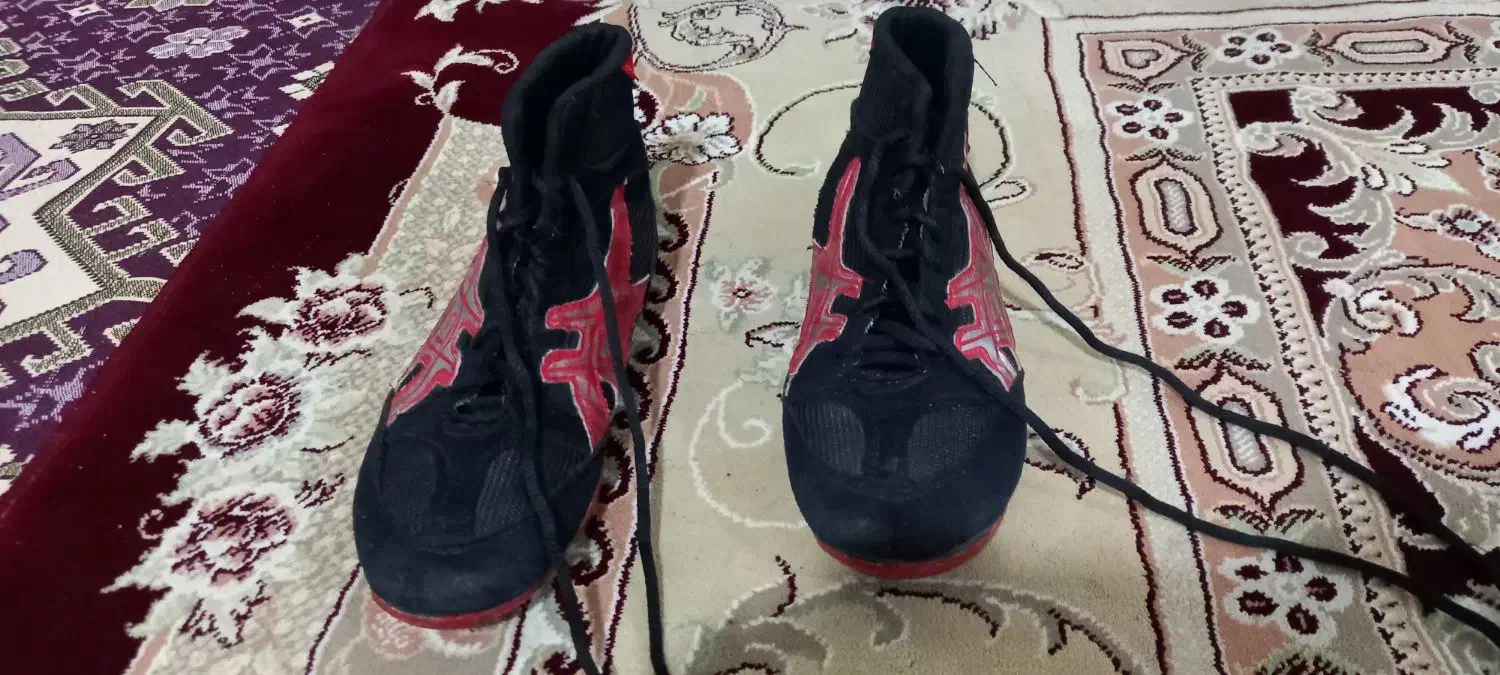 کفش کشتی|کیف، کفش، کمربند|اردبیل, |دیوار