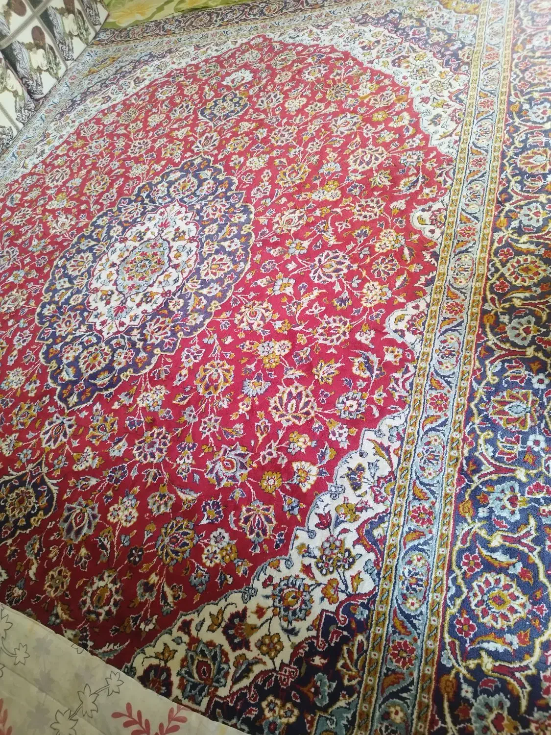 فرش 12 متری|فرش|مرودشت, بیست متری بیمارستان|دیوار