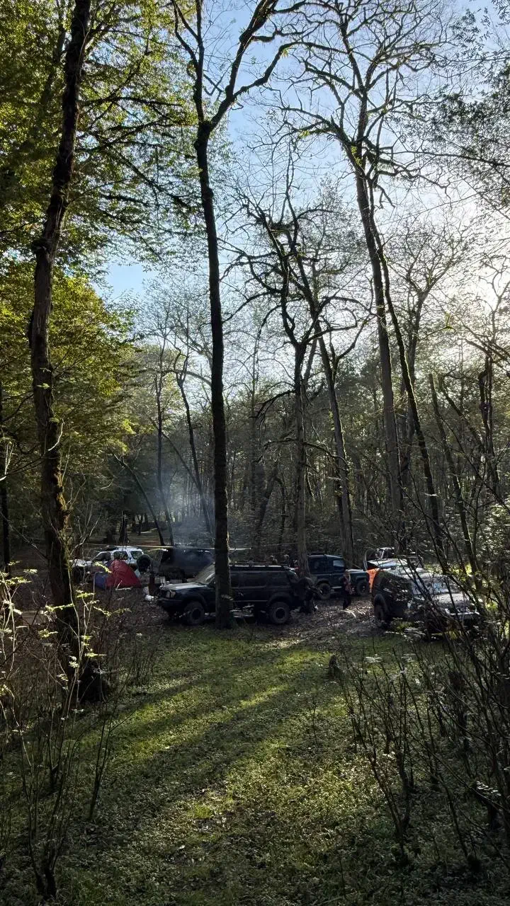 دعوت از خانواده های آفرودی|فعالیت داوطلبانه|تهران, شهرک آپادانا|دیوار