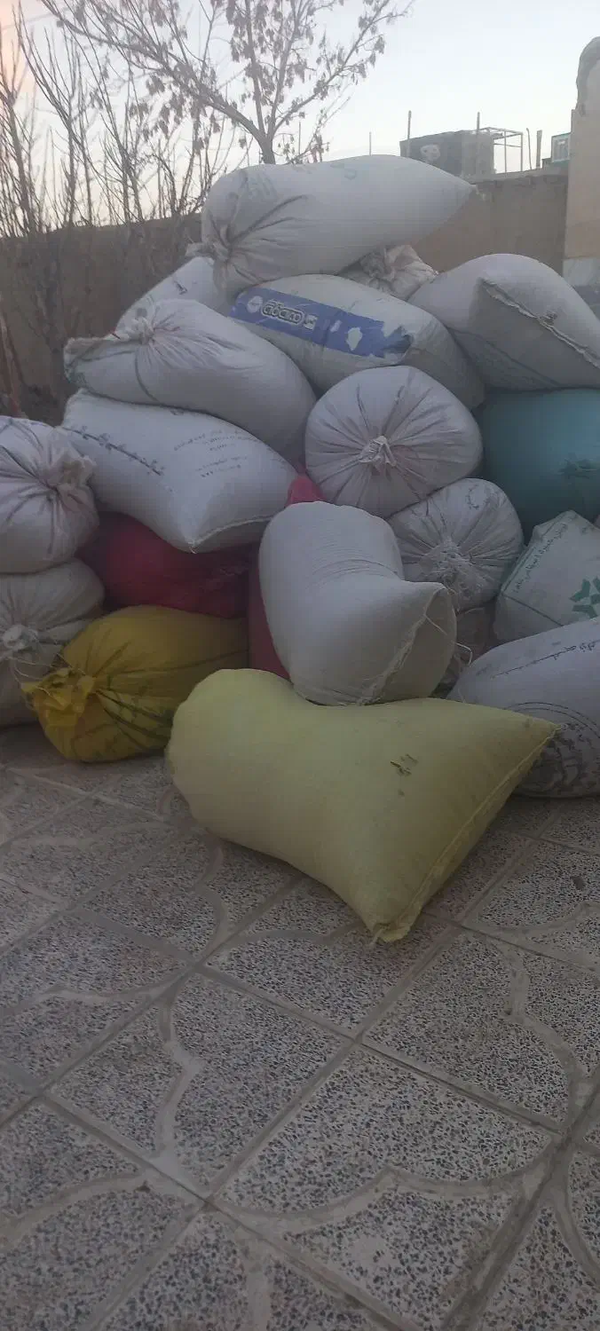 جو بومی|حیوانات مزرعه|گلپایگان, |دیوار