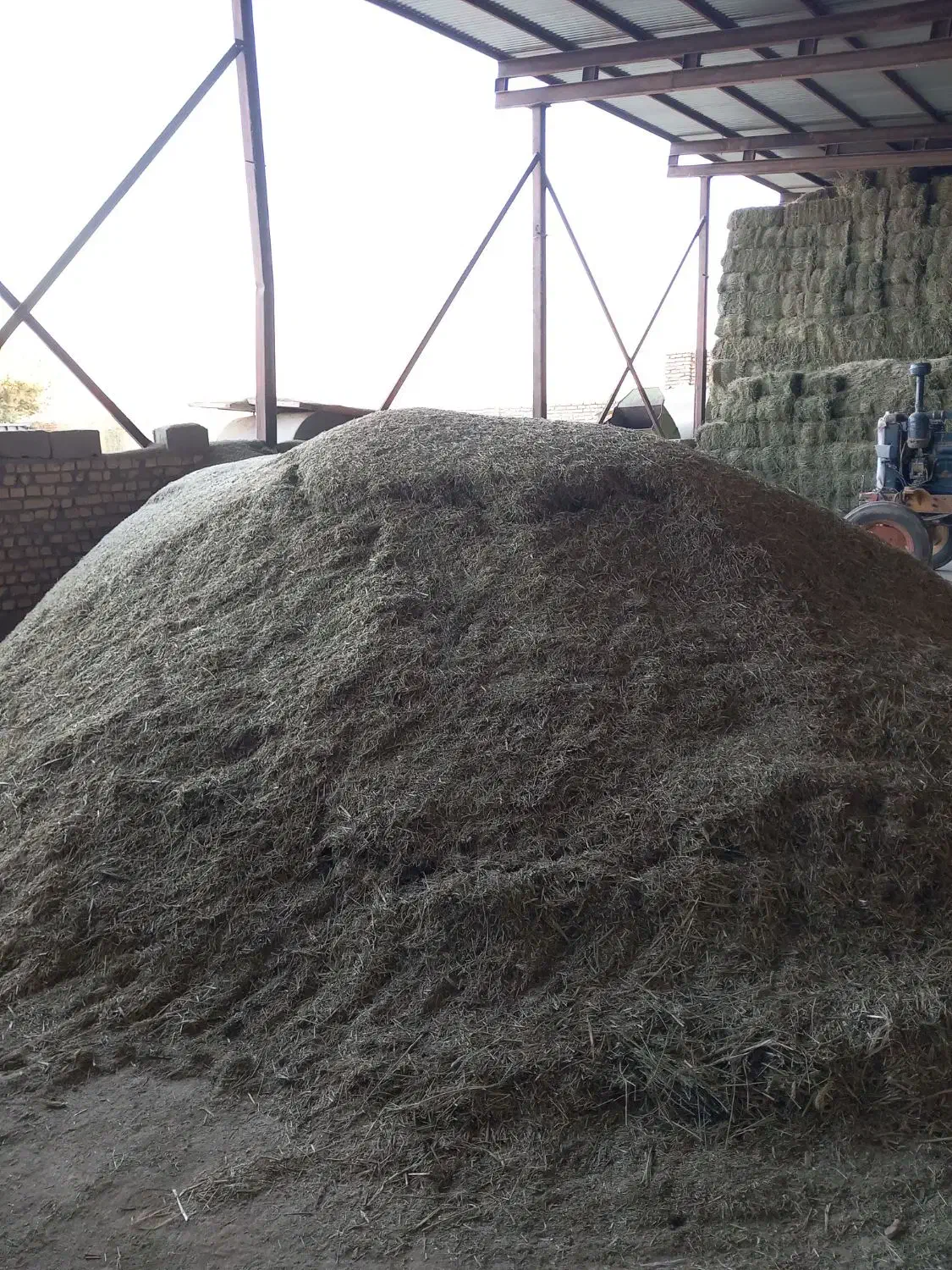 یونجه خورد شده چین اول|عمده‌فروشی|شهرکرد, |دیوار