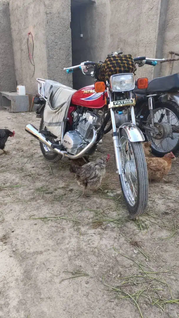 موتور۱۲۵ مدل ۱۴۰۱|موتورسیکلت|فلاورجان, |دیوار