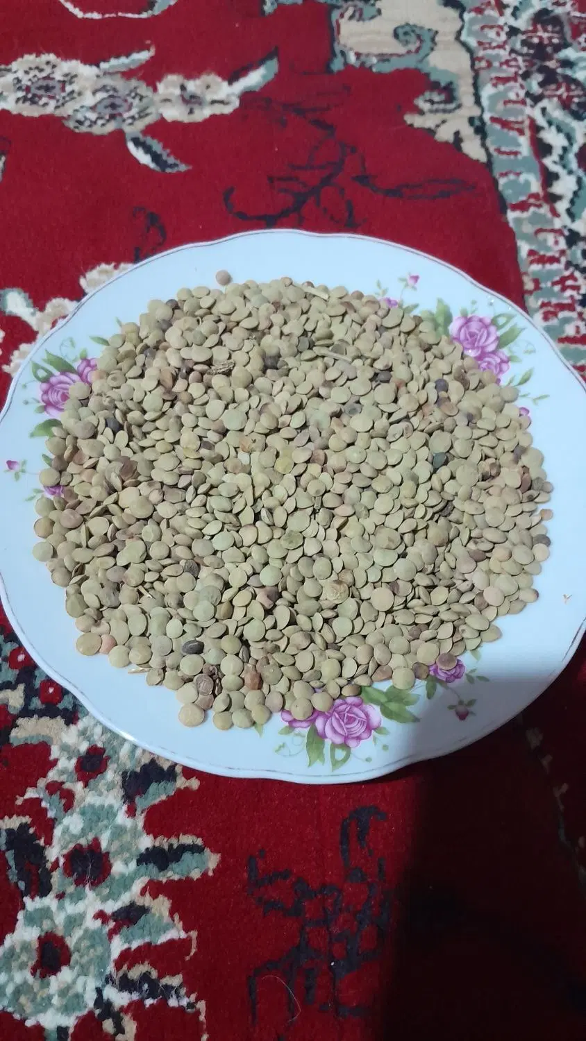 عدس|عمدهفروشی|گرمی, |دیوار