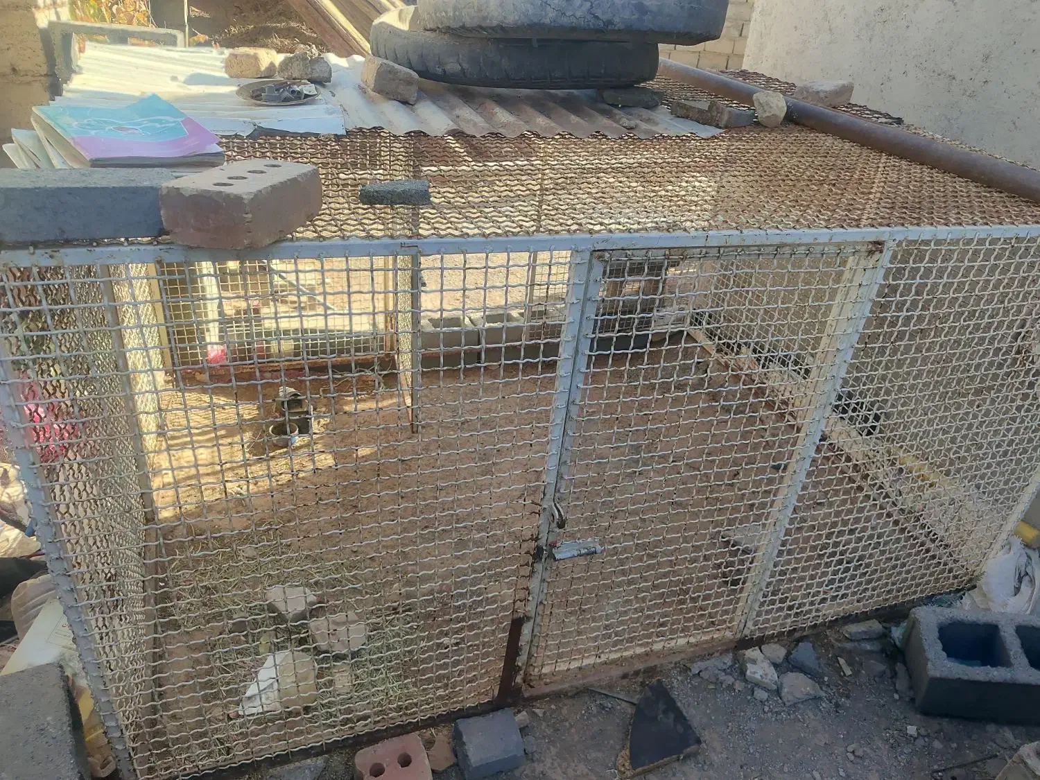 قفس آهنی مرتب وضخیم دودرب سنگین|لوازم جانبی حیوانات|تربت جام, جلگه موسی آباد|دیوار