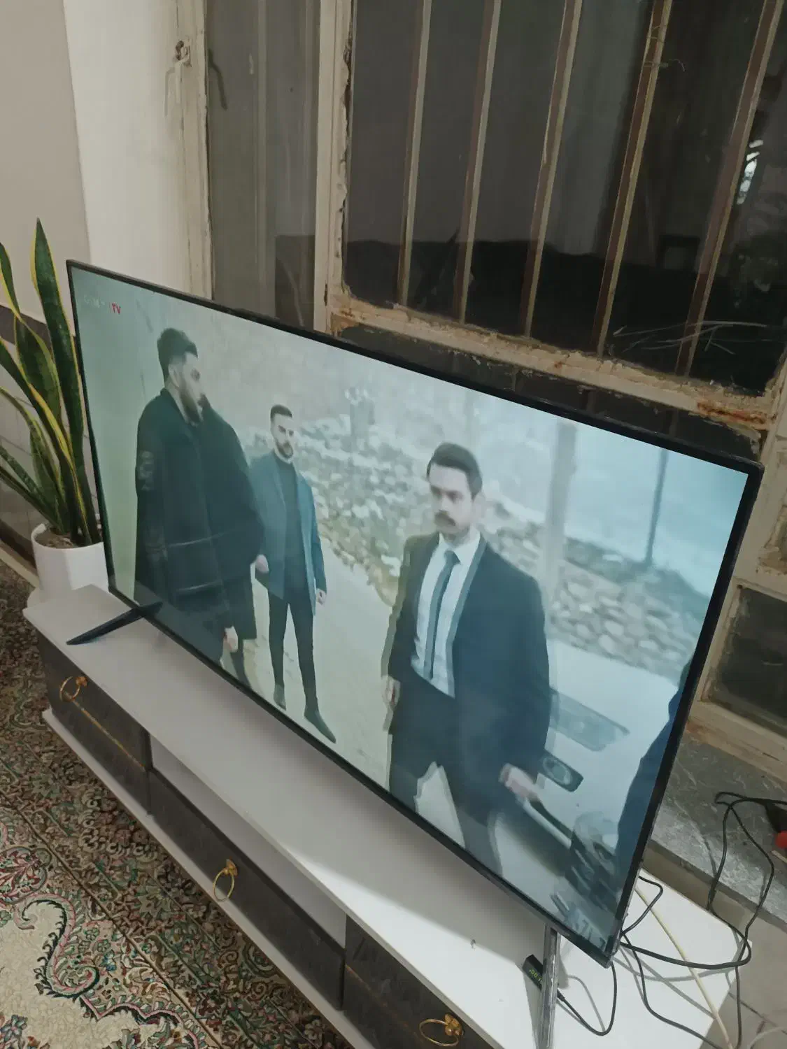 تلویزیون|تلویزیون و پروژکتور|تربتحیدریه, پائین ولایت|دیوار