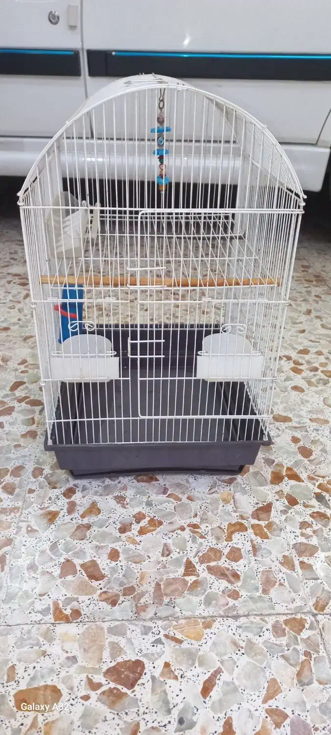 قفس درهویزه|لوازم جانبی حیوانات|سوسنگرد, |دیوار