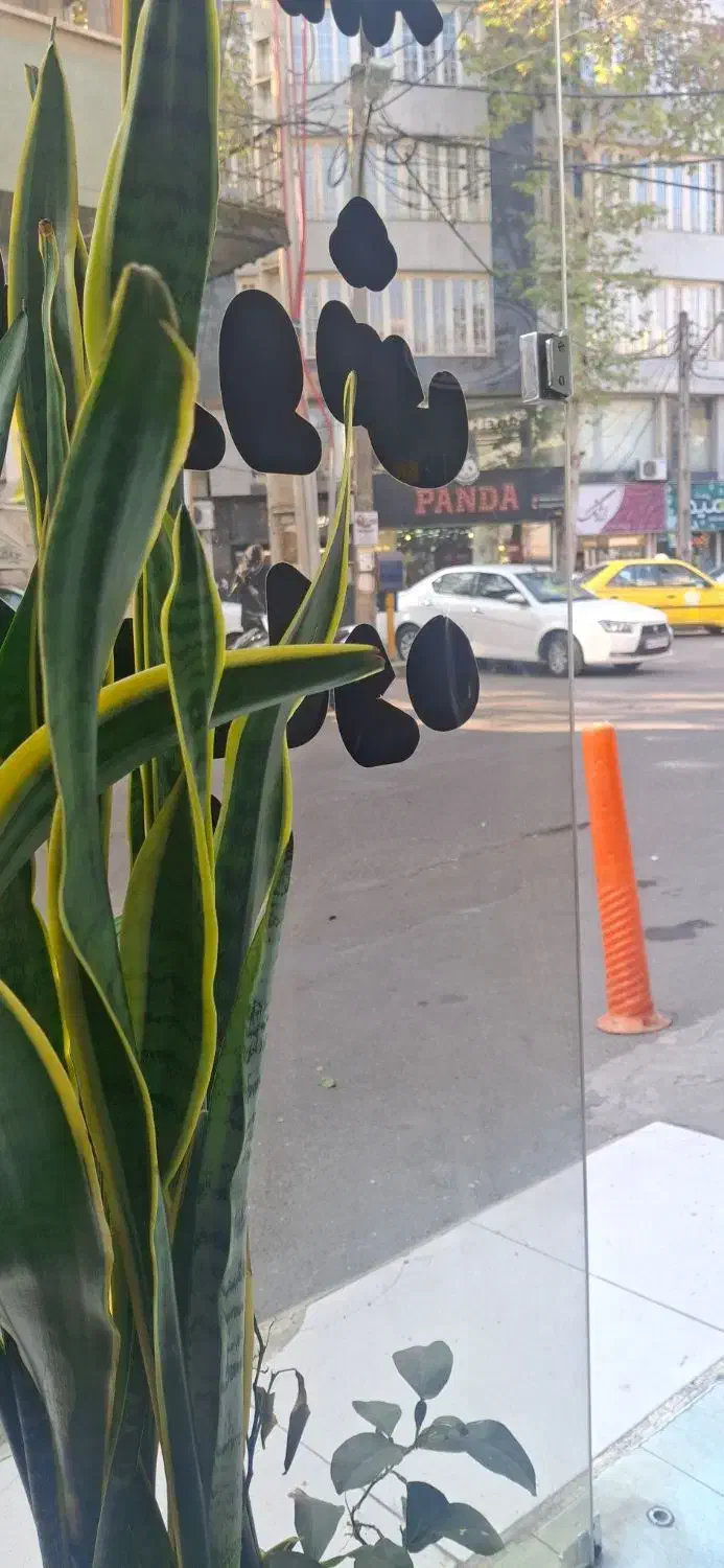 اجاره مغازه بر اصلی فقط برای طلا فروشی|اجارهٔ مغازه و غرفه|لاهیجان, شیشه گران|دیوار