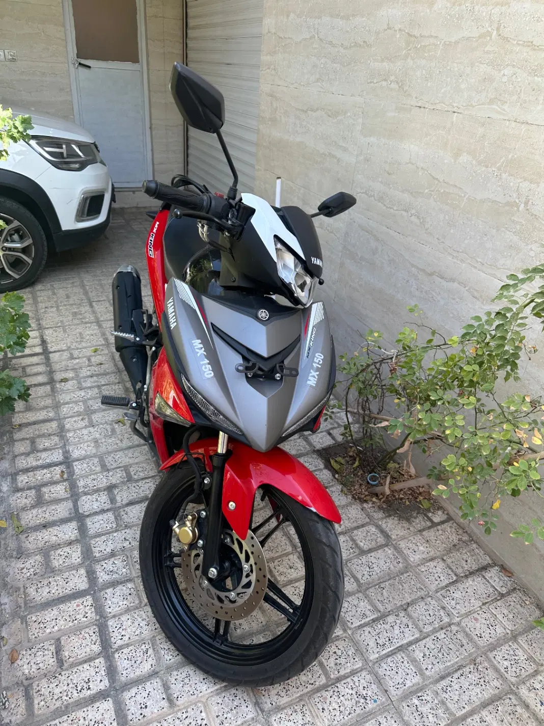 Mx king 1403|موتورسیکلت|مشهد, کوثر|دیوار