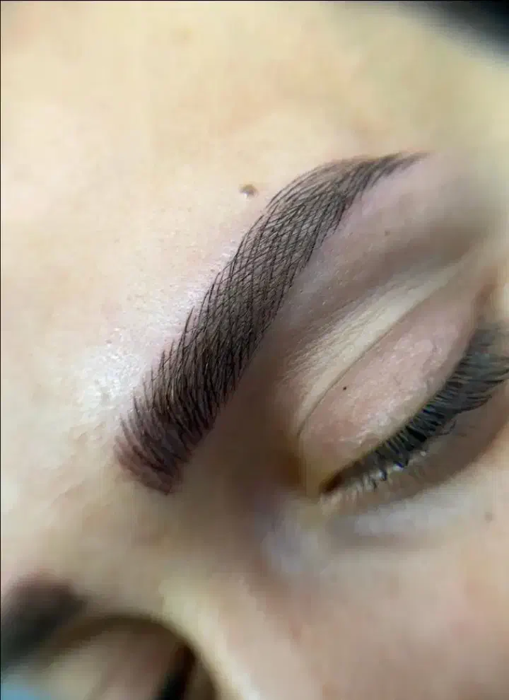 فیبروز. میکرو بلیندینگ|خدمات آرایشگری و زیبایی|سبزوار, باهنر|دیوار