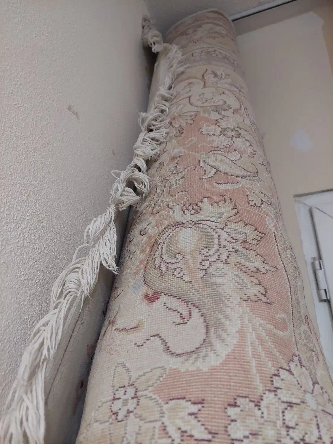 فرش ۱۲ متری و ۴ متری|فرش|پردیس, فاز ۳|دیوار