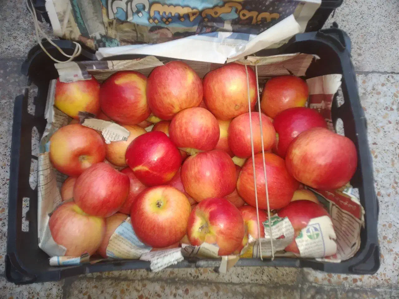 سیب درختی ارگانیک محلی|خوردنی و آشامیدنی|رباط‌کریم, رباط‌کریم|دیوار