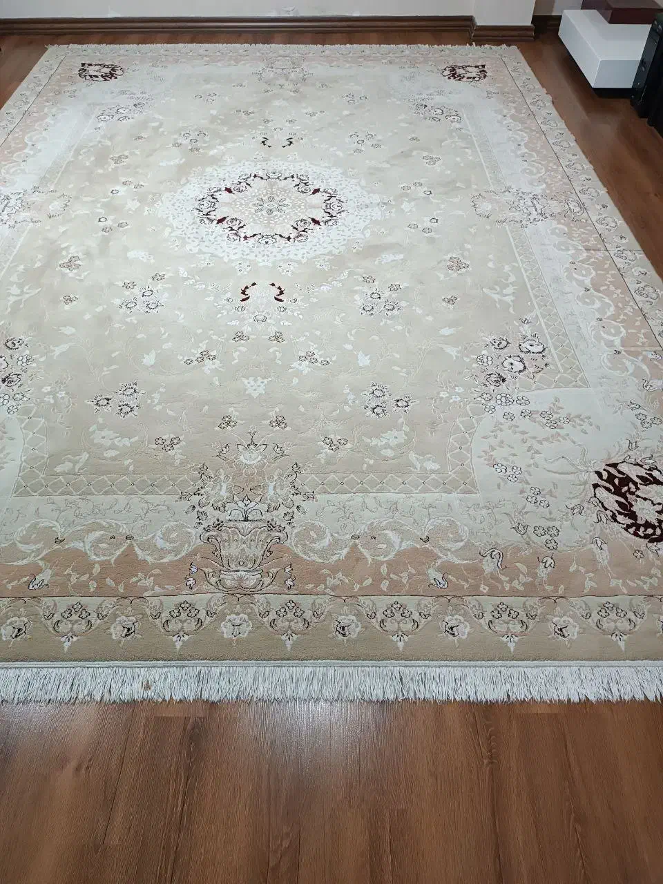 یک جفت فرش ۱۲ متری ساوین|فرش|رشت, سعدی (تختی)|دیوار