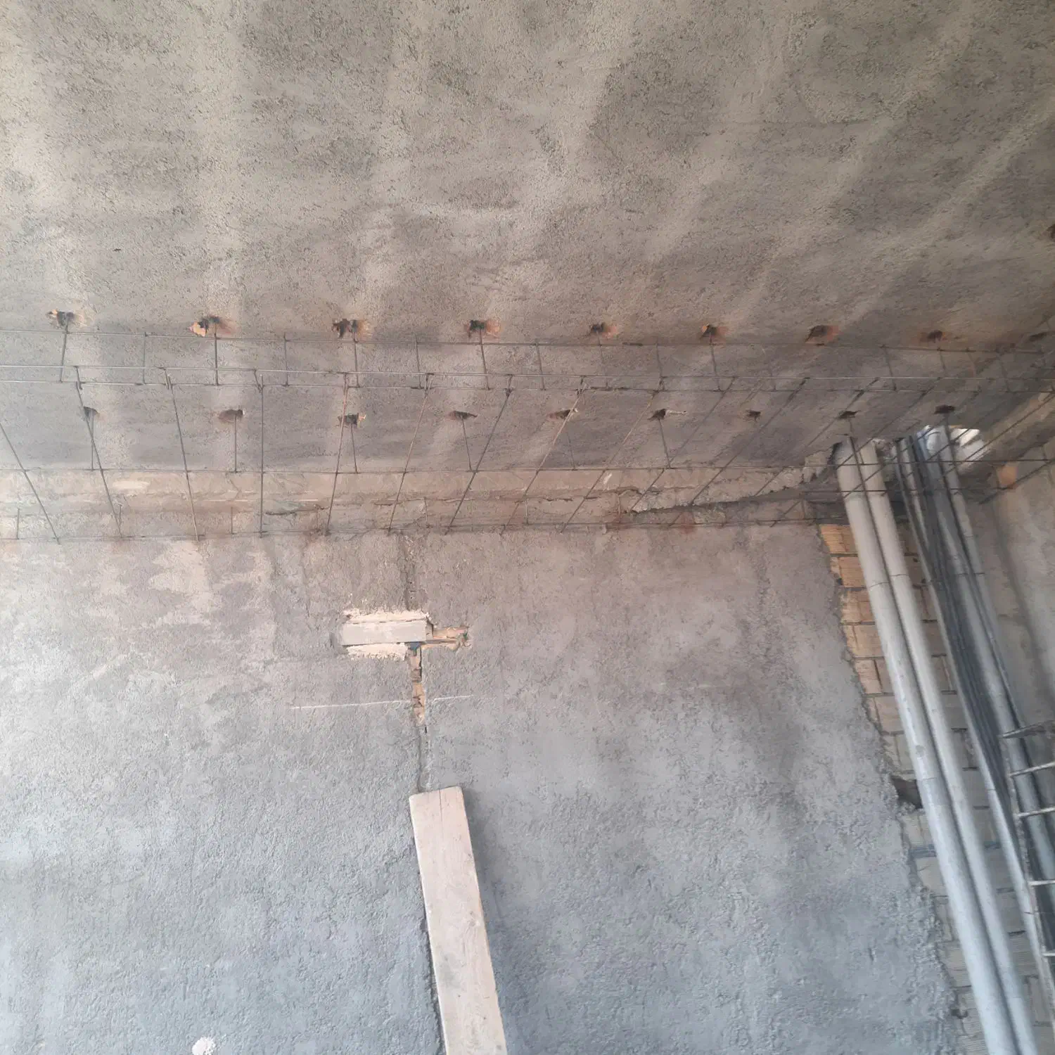 به تعدادی نیرو برای رابیتس کاری نیازمندم|استخدام معماری، عمران و ساختمانی|یزد, |دیوار