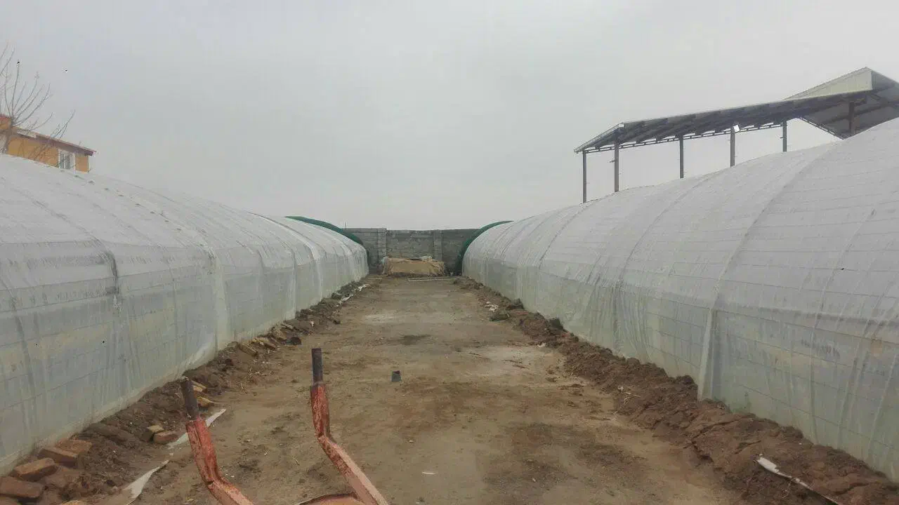 سازه گلخانه|مصالح و تجهیزات ساختمان|مشهد, چهاربرج|دیوار