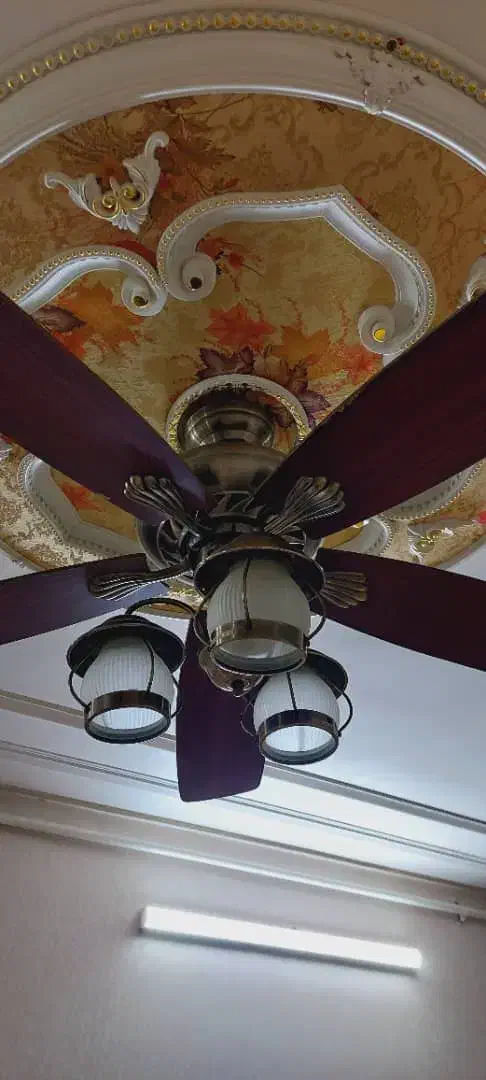 پنکه سقفی (لوستری)|پنکه و تصفیهکنندهٔ هوا|گنبد کاووس, |دیوار