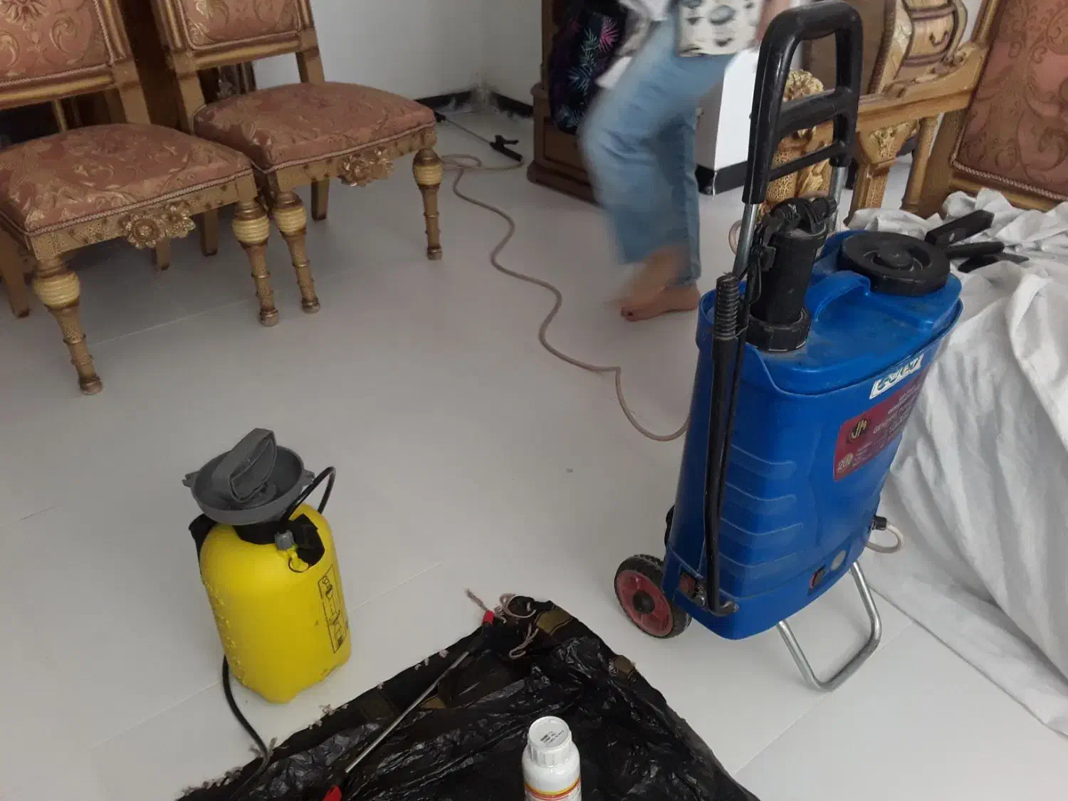 سمپاشی ساس سوسک کنه مایت|خدمات نظافت|رودهن, |دیوار