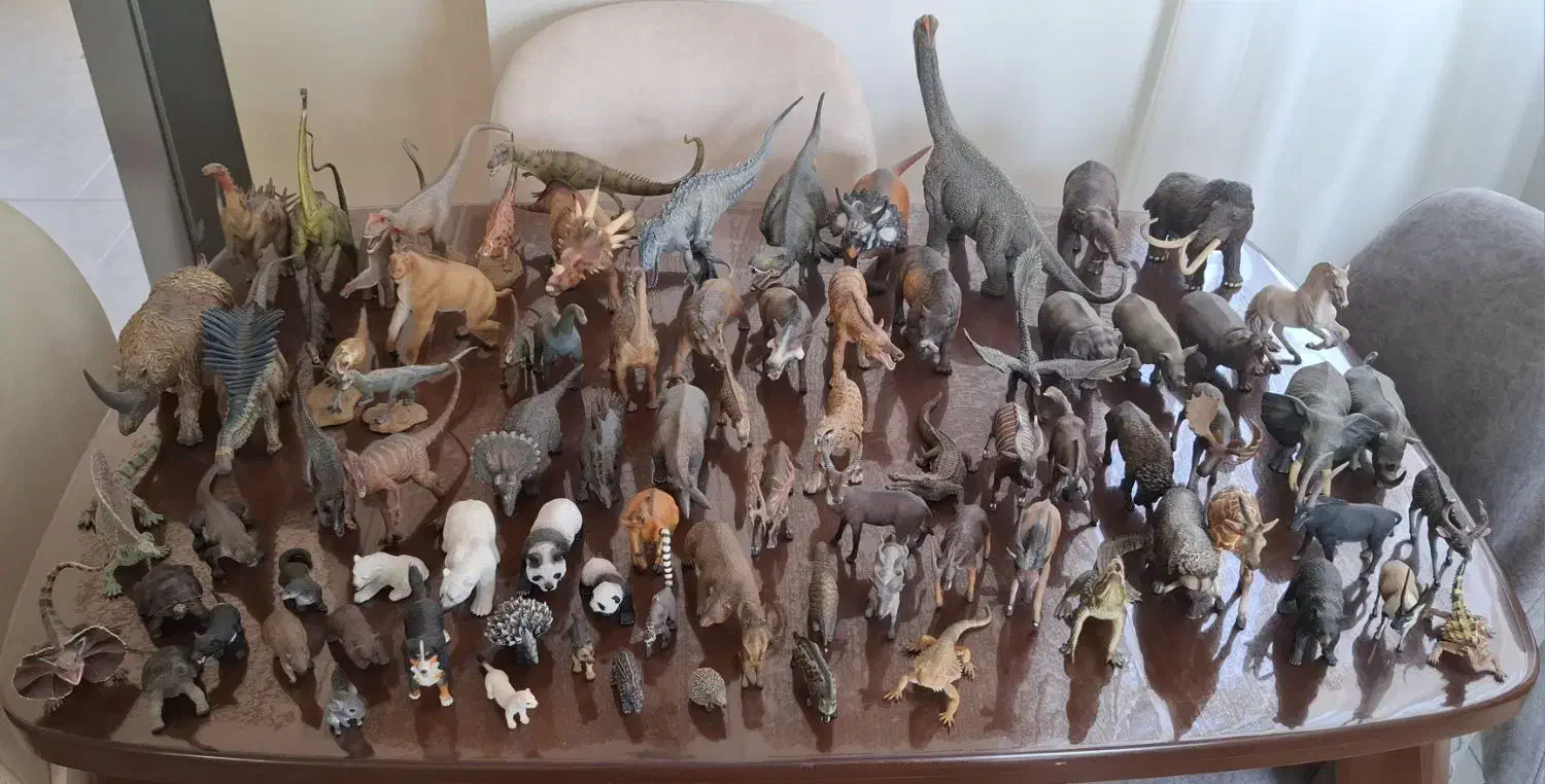 کلکسیون حیوانات|کلکسیون و سرگرمی|اندیشه, اندیشه فاز ۵|دیوار