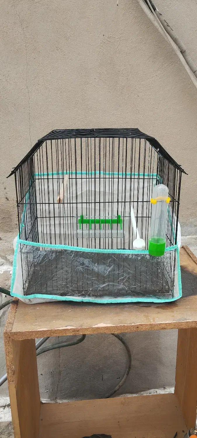 قفس نو|لوازم جانبی حیوانات|بندر ماهشهر, |دیوار