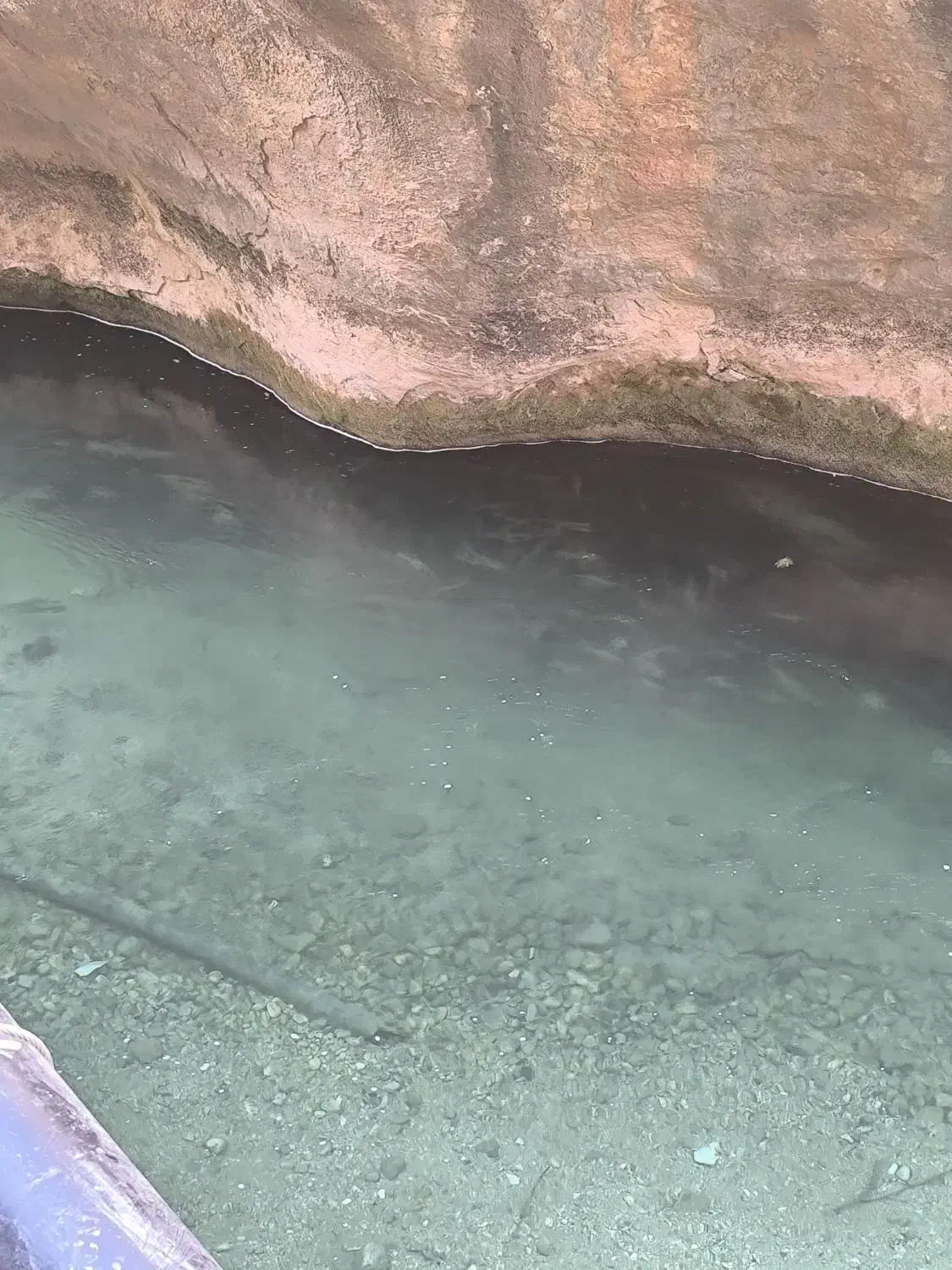 بلیط استخر|بلیت ورزشی|اصفهان, خواجو|دیوار