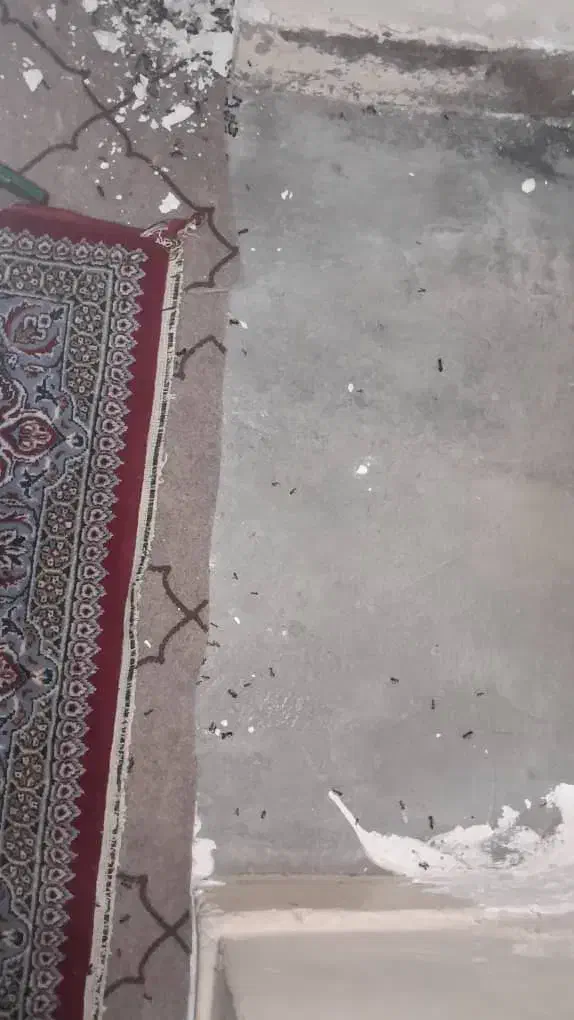 نظافت کلیه منازل انجام میدهیم|خدمات نظافت|رامهرمز, |دیوار