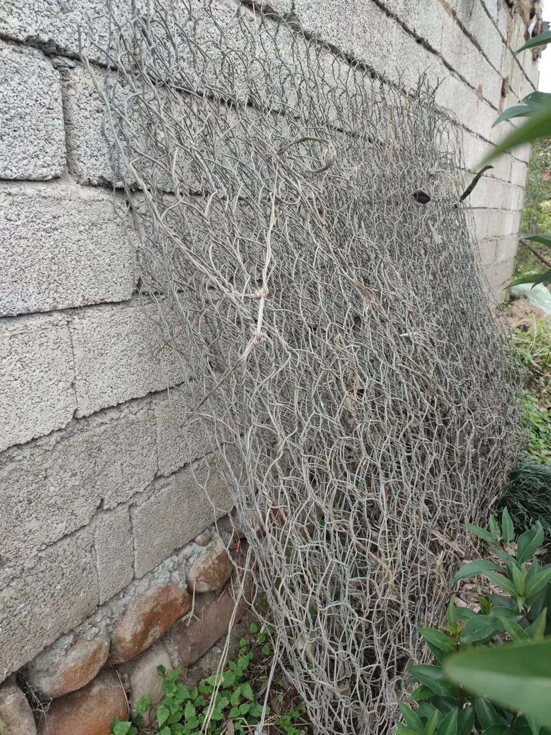 سیم خاردار و فنس درجه یک|مصالح و تجهیزات ساختمان|چابکسر, |دیوار