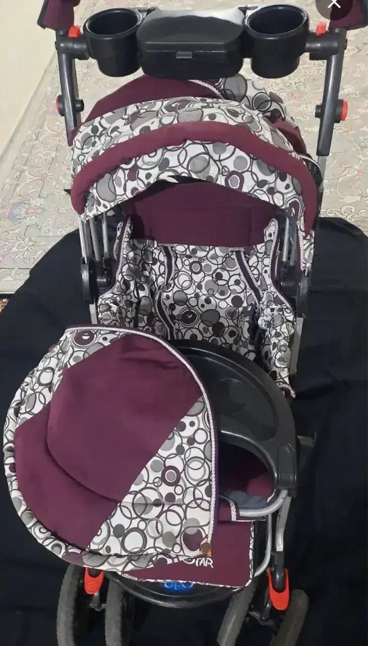 کالسکه دلیجان|کالسکه و لوازم جانبی|کرج, شهرک نهال و بذر|دیوار