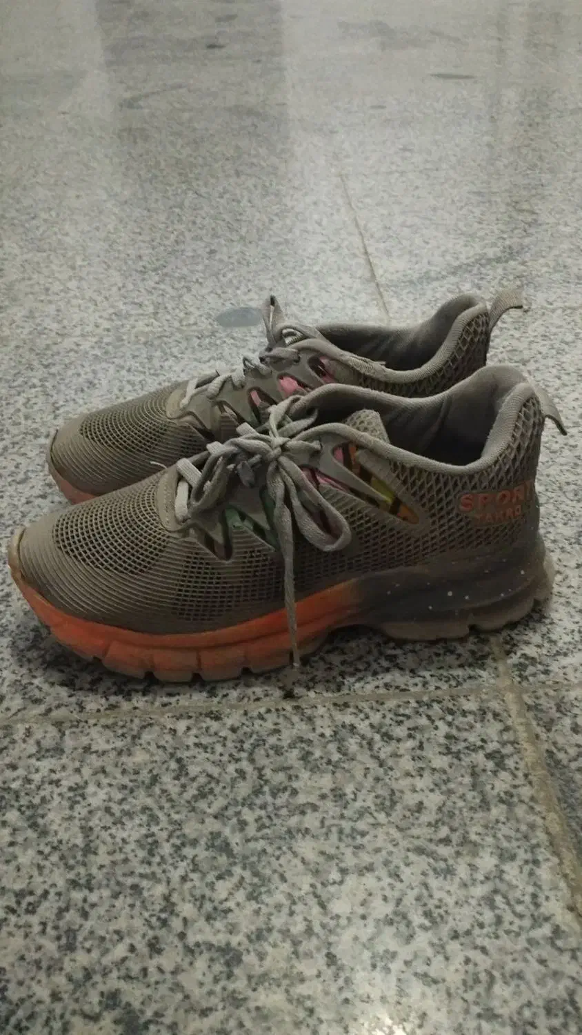 کفش|کیف، کفش، کمربند|ملایر, |دیوار