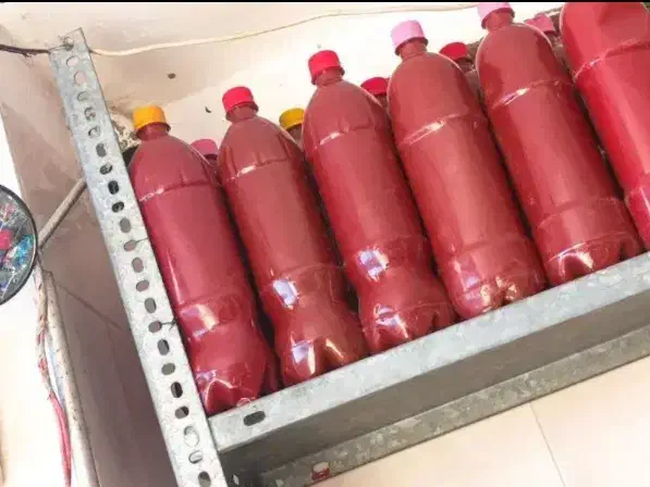 انواع خیارشور .زیتون و رب خانگی بروجرد|خوردنی و آشامیدنی|تهران, سلیمانی|دیوار