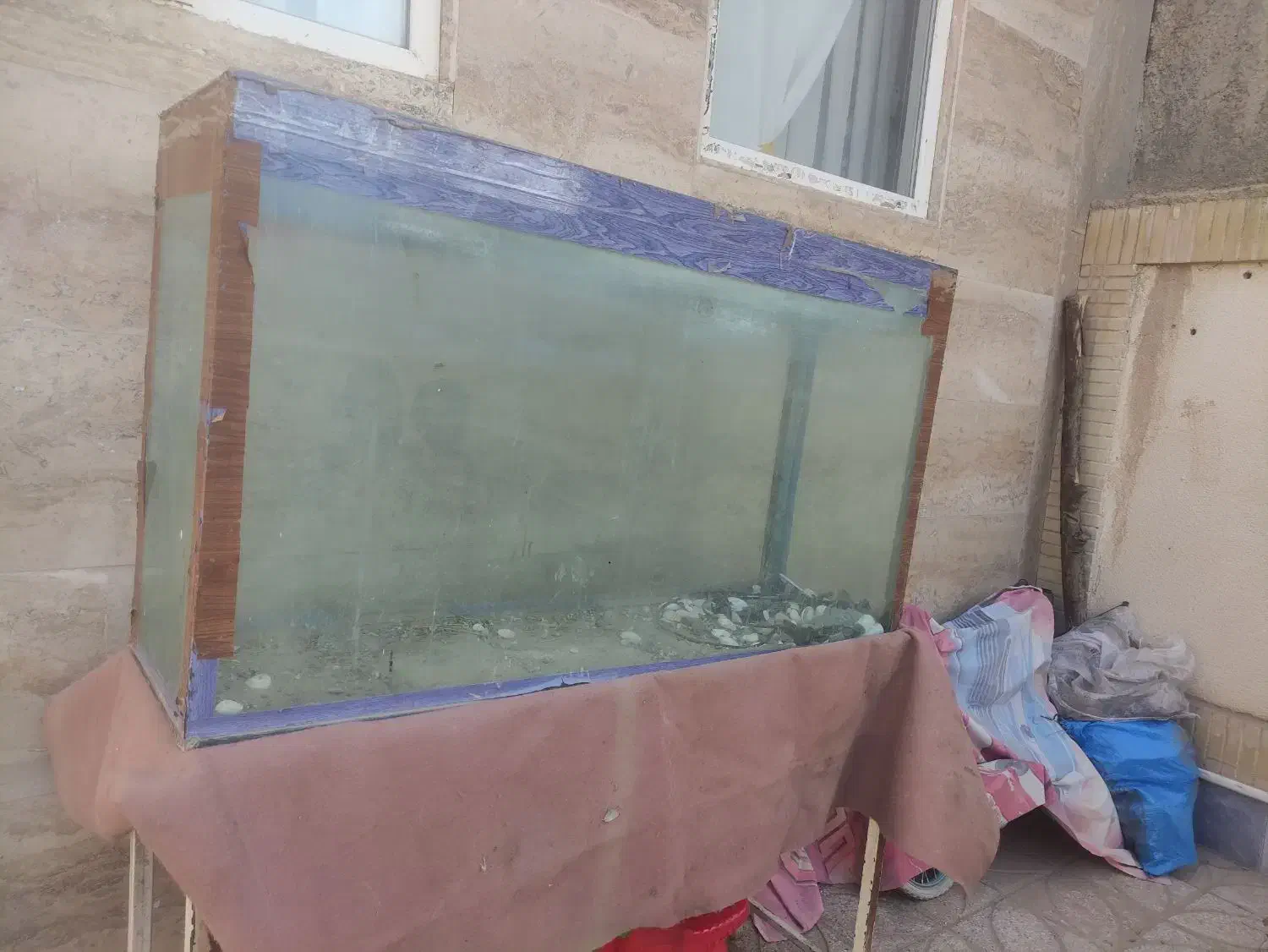 آکواریوم با چهارپایه فروشی|ماهی|بیرجند, |دیوار