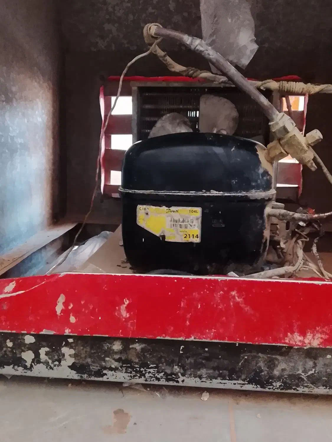 یخچال|فروشگاه و مغازه|زابل, |دیوار