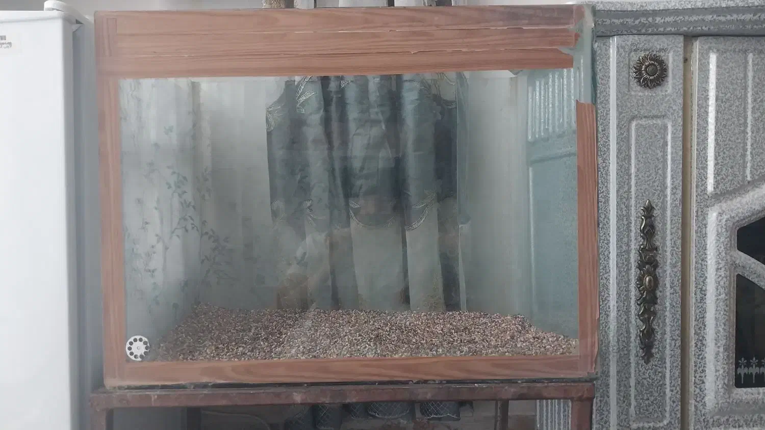 یک عدد اکواریم با شن های خوشکل|ماهی|کرمان, |دیوار