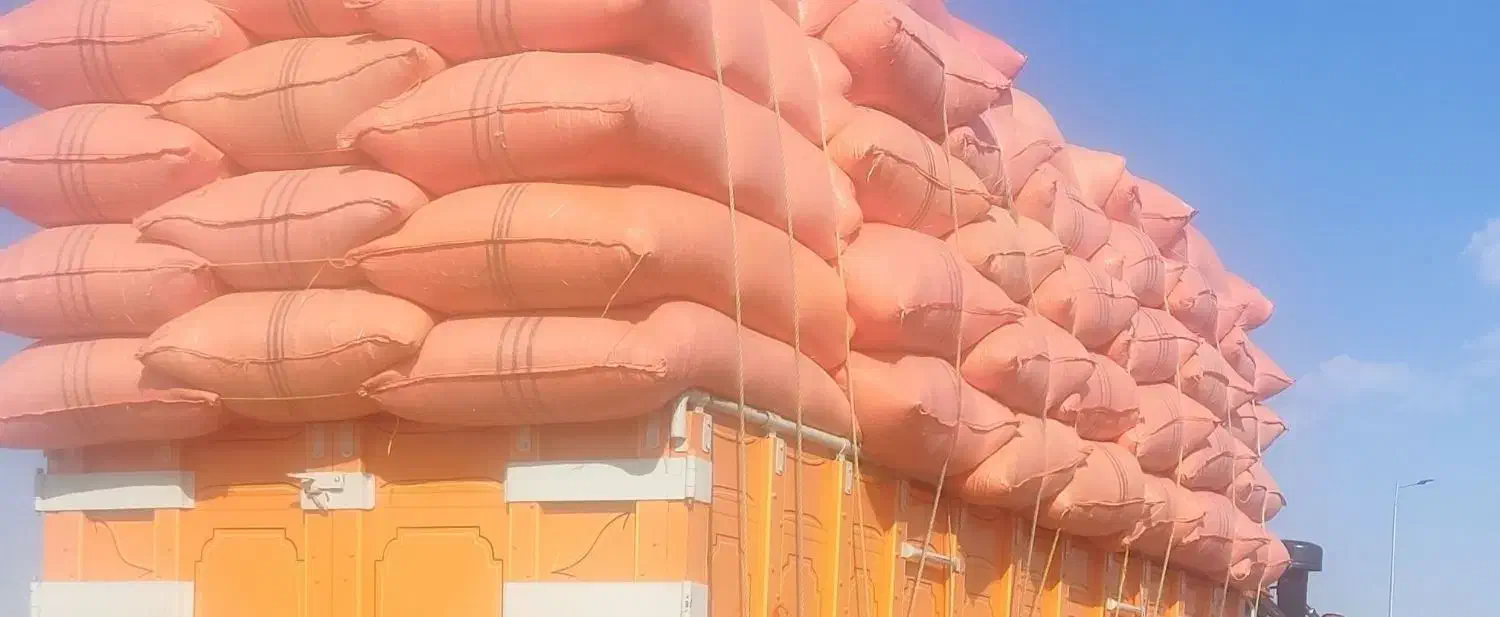 خریدار کاه عمده به قیمت بالا|خدمات باغبانی و درختکاری|سنقر, |دیوار