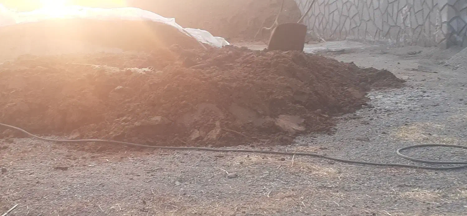 کود حیوانی|لوازم جانبی حیوانات|سلماس, |دیوار