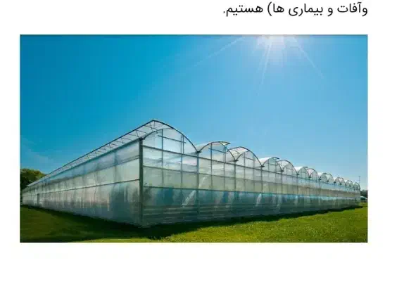 اجاره گلخانه دو سالن 3000متر ۲۰کله|اجارهٔ دفتر صنعتی، کشاورزی، تجاری|جیرفت, |دیوار