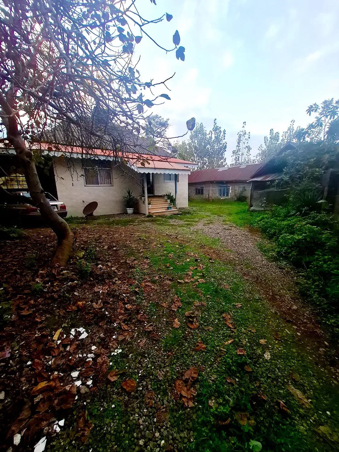 خونه شالیزار6900مترکوچصفهان ب خشکبیجار،لشتنشا،رشت|فروش خانه و ویلا|خمام, |دیوار