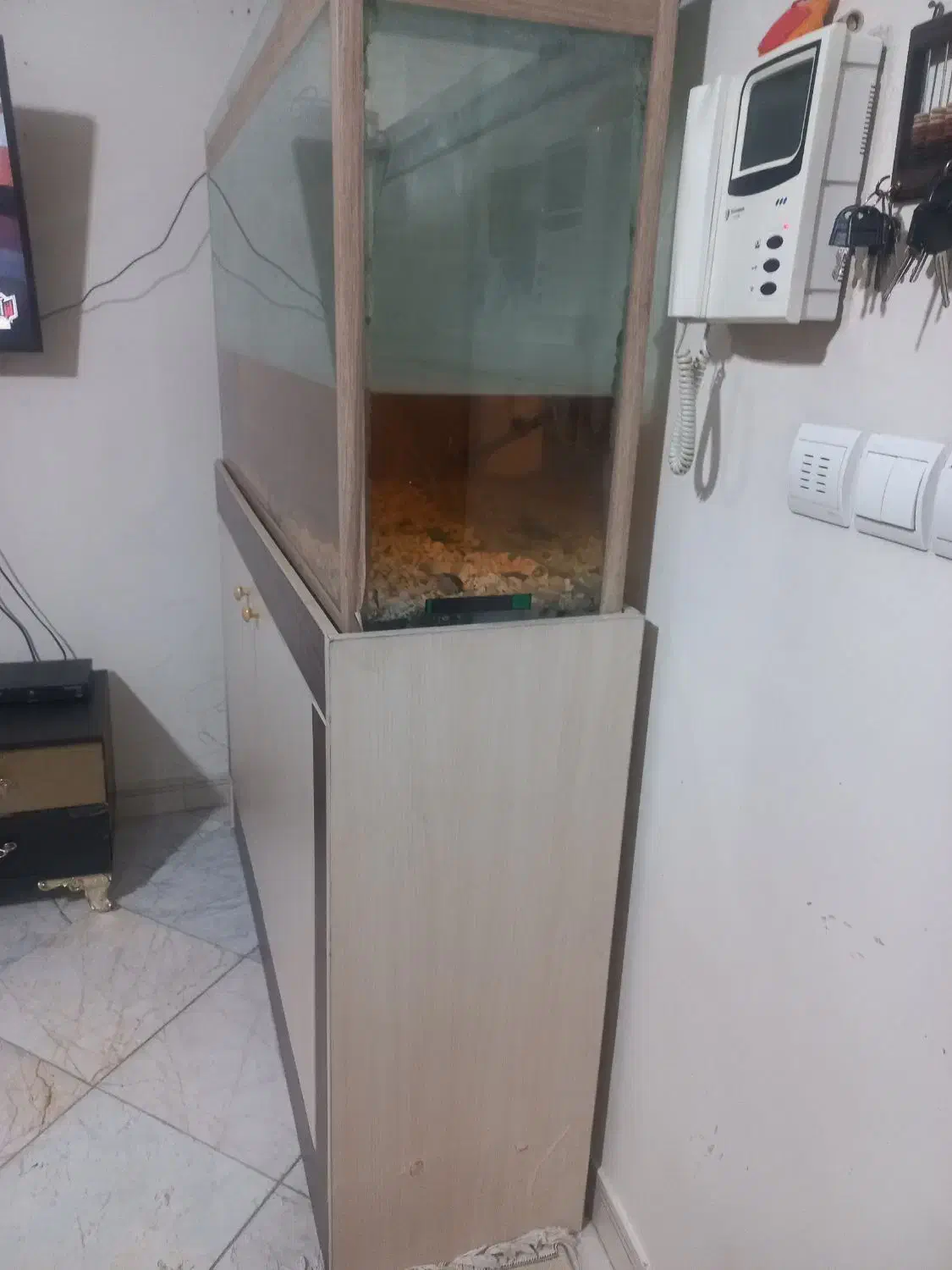 اکواریوم|لوازم جانبی حیوانات|تهران, مسعودیه|دیوار