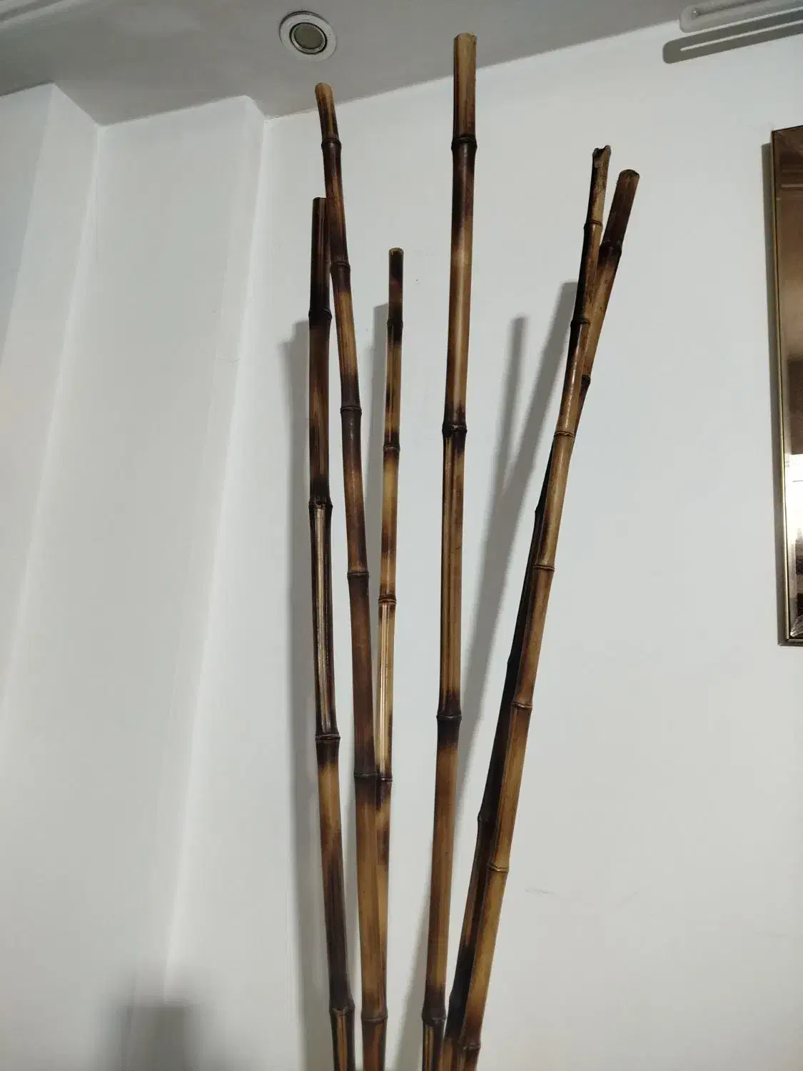 فقط شاخه های داخل گلدون فروشی هست ..‌|گل مصنوعی|قوچان, |دیوار