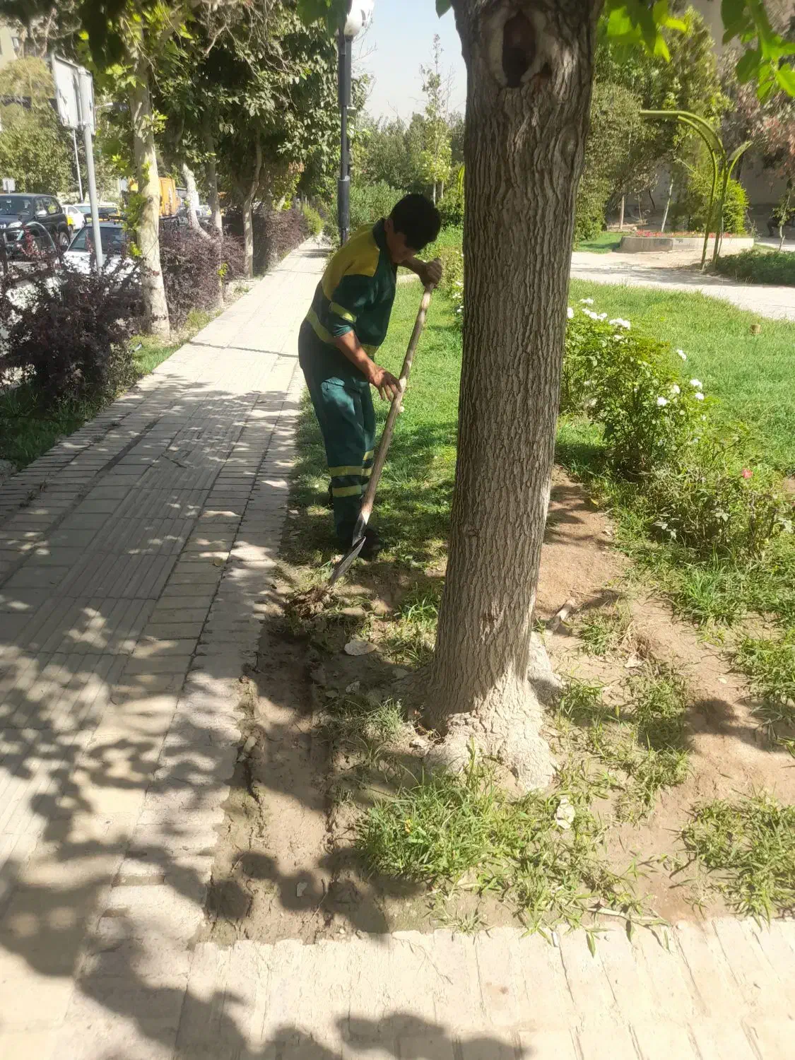 هرس درختان کاشت کودهی واکاری|خدمات باغبانی و درختکاری|تهران, سبلان (لشگر)|دیوار