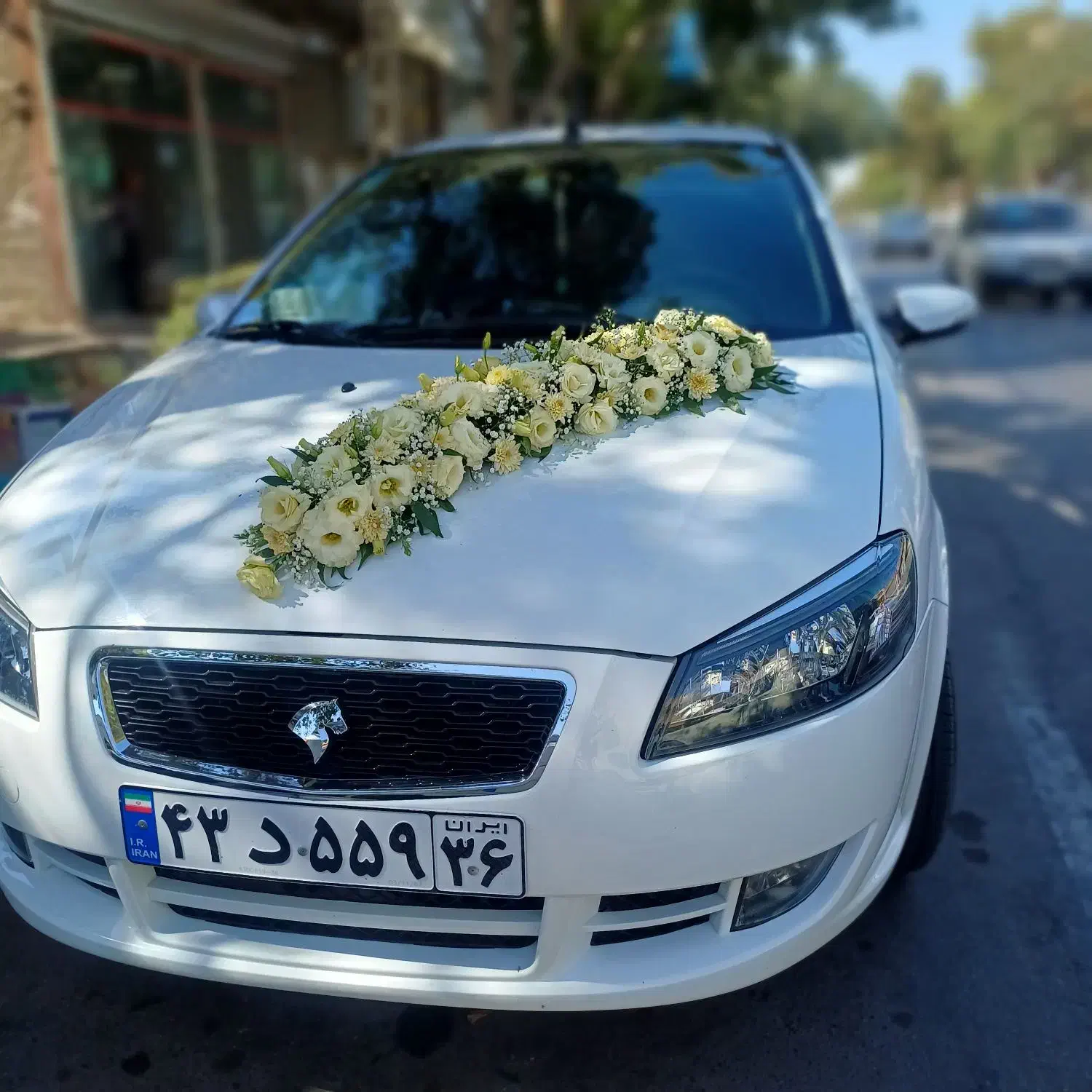 ماشین عروس|گل و گیاه طبیعی|مشهد, رده|دیوار