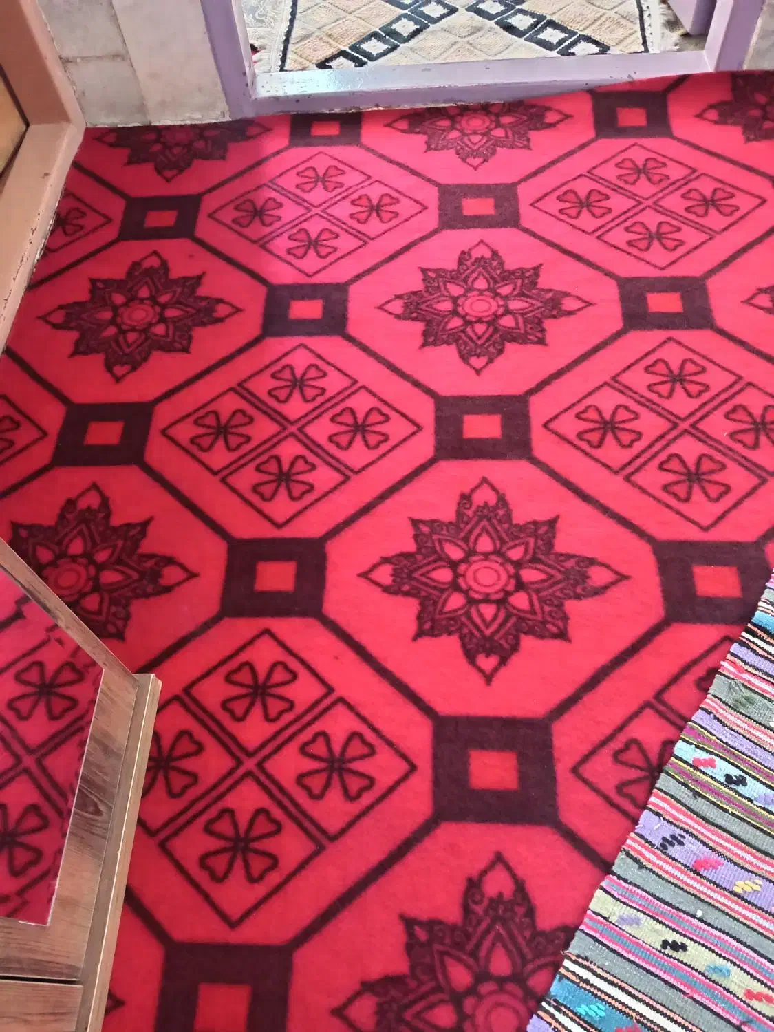 موکت|موکت|بیرجند, |دیوار