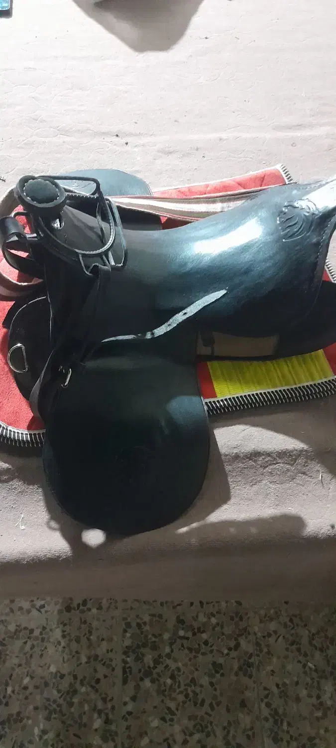 سلام.زین اسب بانمدی اسب تازه خریدمشون ..|اسب و تجهیزات اسبسواری|رامهرمز, |دیوار