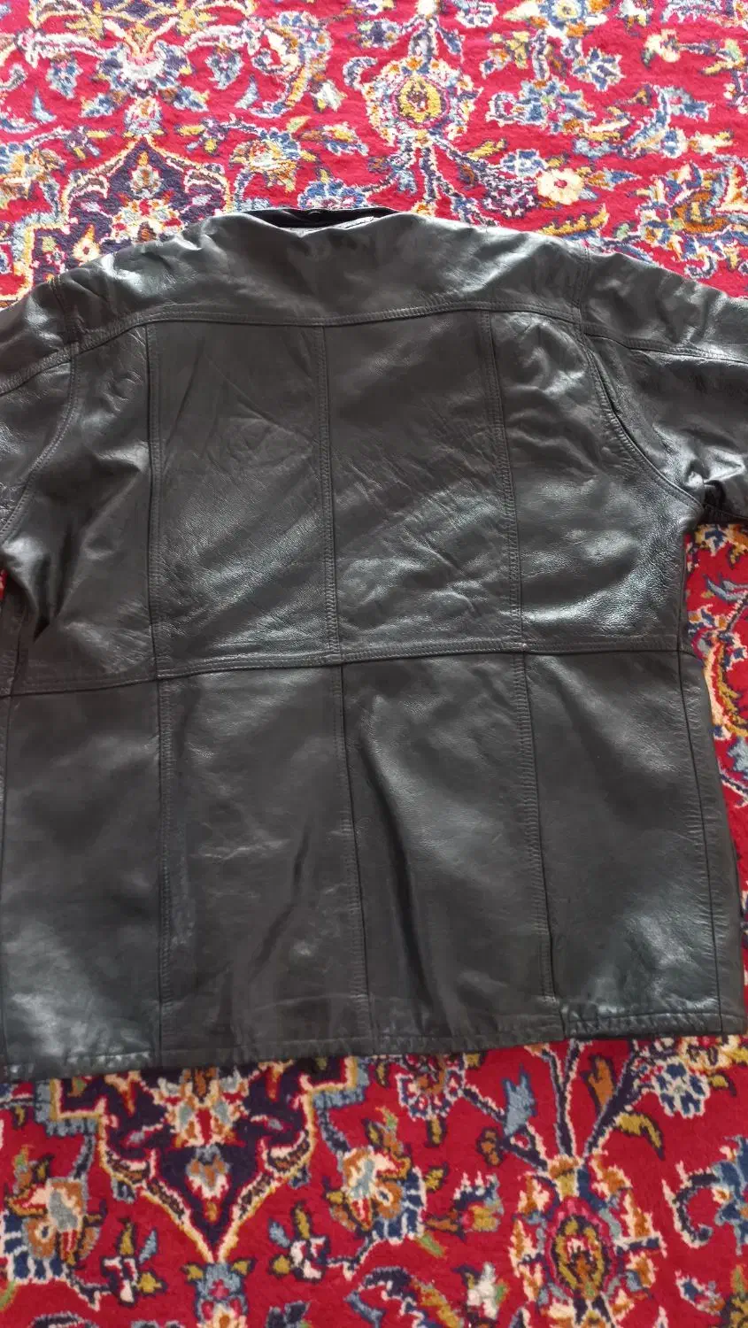 کاپشن چرم|لباس|آذرشهر, |دیوار