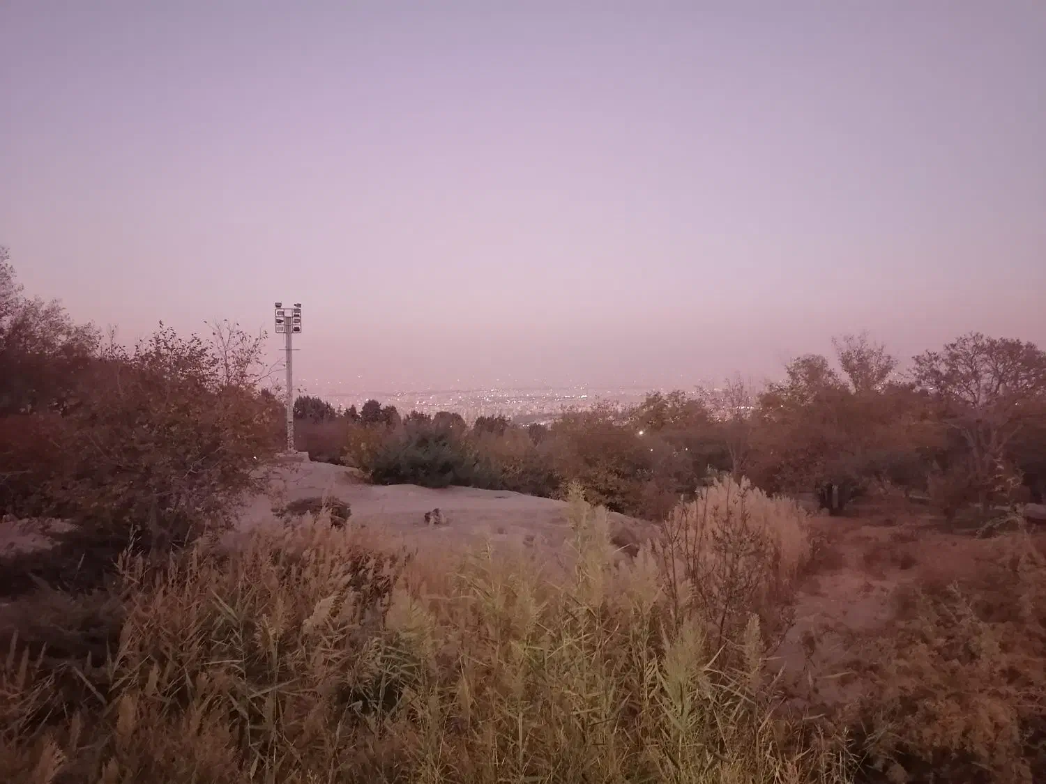 پارتنر پیاده روی|فعالیت داوطلبانه|اصفهان, جامی|دیوار