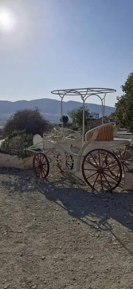 فروش کالسکه،  تجهیزات  سوارکاری|اسب و تجهیزات اسب‌سواری|ایلام, |دیوار