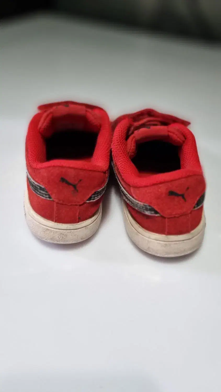 کفش اورجینال پوما|کیف، کفش، کمربند|تهران, شهرک طالقانی|دیوار