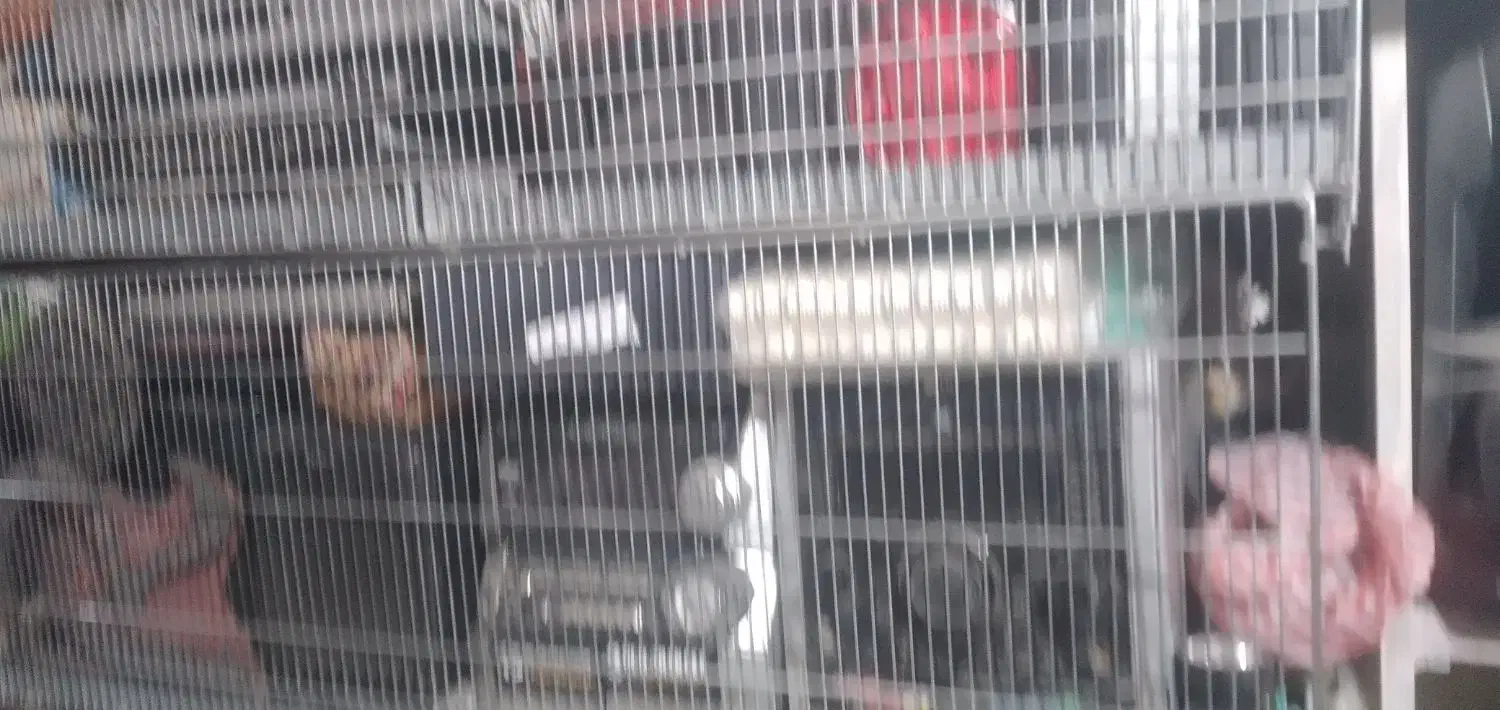 تعدادضبطصوت|سیستم صوتی خانگی|مراغه, |دیوار